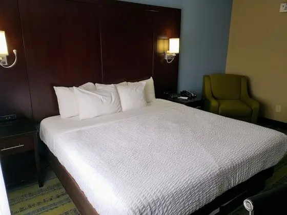 Standard Oda, 1 En Büyük (King) Boy Yatak, Sigara İçilmez (Pet Friendly)