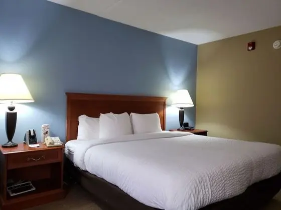 Standard Oda, 1 En Büyük (King) Boy Yatak, Sigara İçilmez (Pet Friendly)