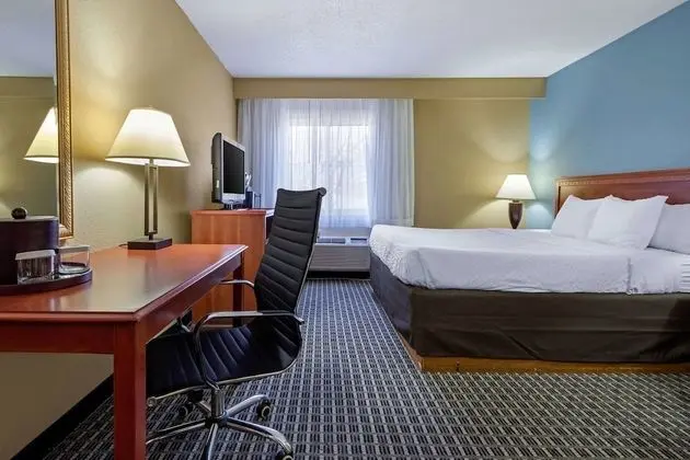 Standard Oda, 1 En Büyük (King) Boy Yatak, Sigara İçilmez (Pet Friendly)