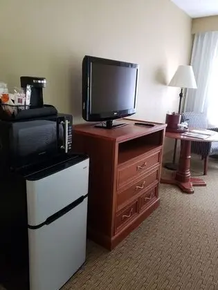 Standard Oda, 1 En Büyük (King) Boy Yatak, Sigara İçilmez (Pet Friendly)