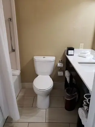 Standard Oda, 1 En Büyük (King) Boy Yatak, Sigara İçilmez (Pet Friendly)