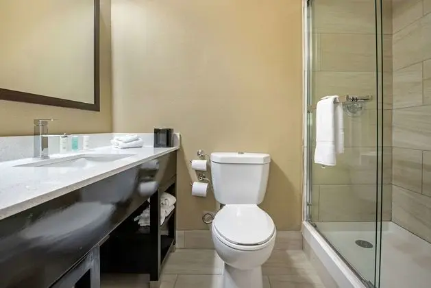 Standard Oda, 1 En Büyük (King) Boy Yatak, Sigara İçilmez (Pet Friendly)