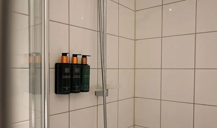 Superior Tek Büyük Yataklı Oda, 1 Çift Kişilik Yatak, Sigara İçilmez