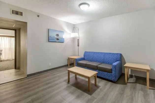 Suite, 1 Kind Bed with Sofa bed, Non Smoking