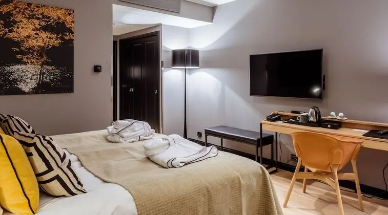 Deluxe Oda, 1 Çift Kişilik Yatak, Sigara İçilmez