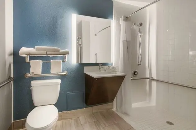 Oda, 1 En Büyük (King) Boy Yatak, Engellilere Uygun, Sigara İçilmez (Roll-In Shower)