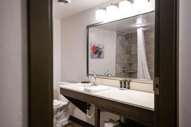 Standard Oda, 1 En Büyük (King) Boy Yatak, Sigara İçilmez (Not Pet Friendly)