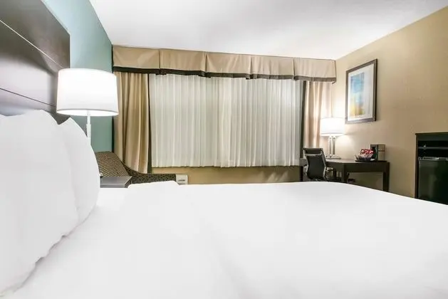 Standard Oda, 1 En Büyük (King) Boy Yatak ve Çekyat, Sigara İçilmez (2 Person Sofabed)