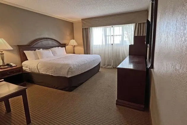 Oda, 1 En Büyük (King) Boy Yatak, Engellilere Uygun, Sigara İçilmez