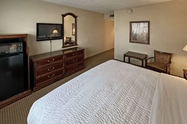 Oda, 1 En Büyük (King) Boy Yatak, Engellilere Uygun, Sigara İçilmez