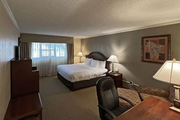 Standard Oda, 1 En Büyük (King) Boy Yatak, Sigara İçilmez, Küvet