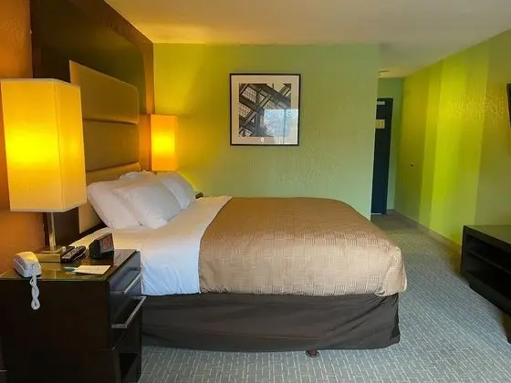 Standard Oda, 1 En Büyük (King) Boy Yatak, Sigara İçilmez