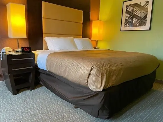 Standard Oda, 1 En Büyük (King) Boy Yatak, Sigara İçilmez