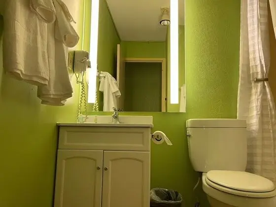 Standard Oda, 1 En Büyük (King) Boy Yatak, Sigara İçilmez