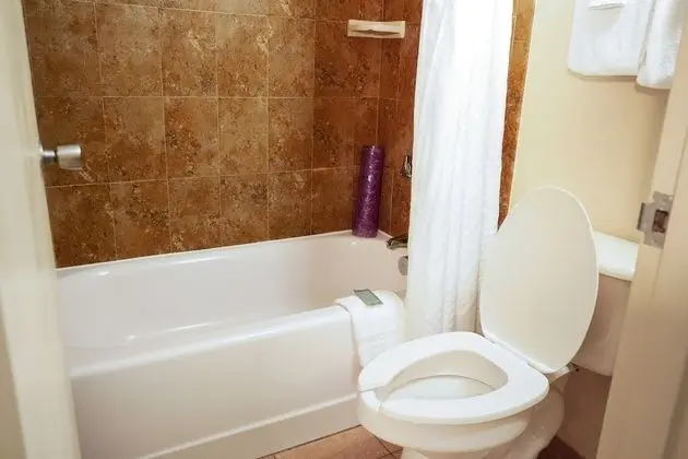 Deluxe Oda, 2 Çift Kişilik Yatak, Sigara İçilmez