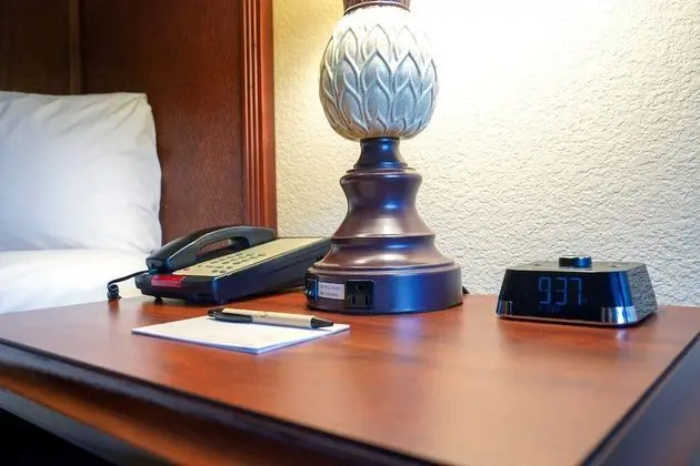 Deluxe Oda, 2 Çift Kişilik Yatak, Sigara İçilmez