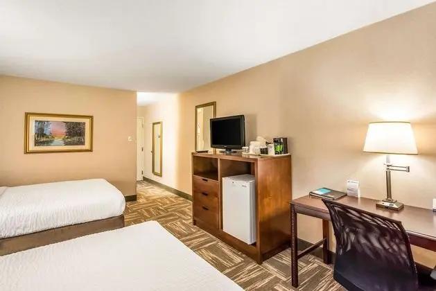 Standard Oda, 2 Büyük (Queen) Boy Yatak, Sigara İçilmez (Pet Friendly)