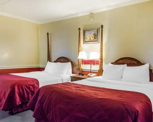 Standard Oda, 2 Büyük (Queen) Boy Yatak, Sigara İçilmez (Pet Friendly)