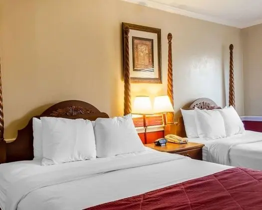 Standard Oda, 2 Büyük (Queen) Boy Yatak, Sigara İçilmez (Pet Friendly)
