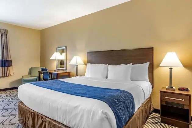 Accessible Room, 1 King Bed, Roll-In Shower, Non Smoking