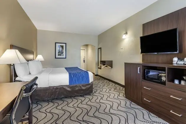Accessible Room, 1 King Bed, Roll-In Shower, Non Smoking