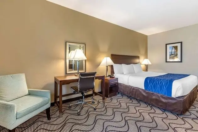 Accessible Room, 1 King Bed, Roll-In Shower, Non Smoking
