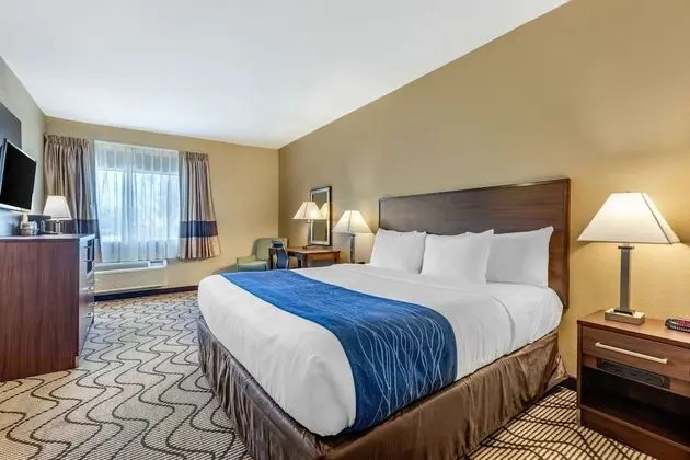 Accessible Room, 1 King Bed, Roll-In Shower, Non Smoking