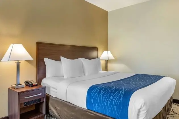 Standard Room, 1 King Bed Non Smoking