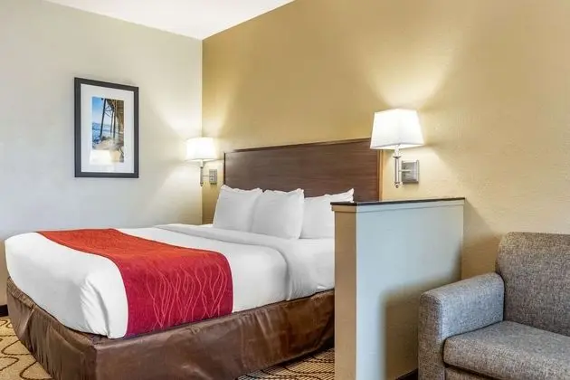 Suite, 1 King Bed with Sofa Bed, Non Smoking, Pool View