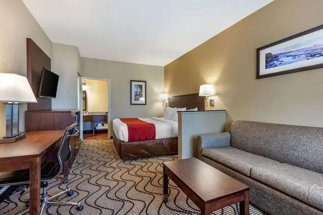 Suite, 1 King Bed with Sofa Bed, Non Smoking, Pool View