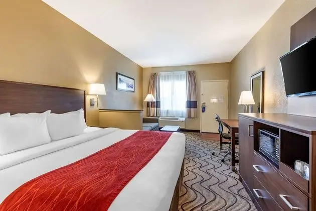 Suite, 1 King Bed with Sofa Bed, Non Smoking, Pool View