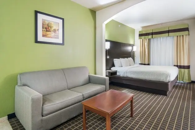 Süit, 1 En Büyük (King) Boy Yatak, Engellilere Uygun, Sigara İçilmez