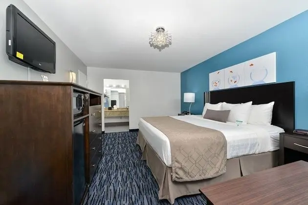 Standard Room, 1 King Bed, Non Smoking, Pool Side