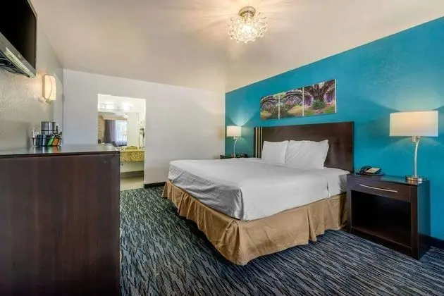 Standard Room, 1 King Bed, Non Smoking, Pool Side
