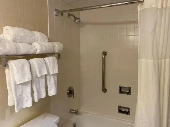 2 Queen Beds, Nonsmoking, Partial Lake View