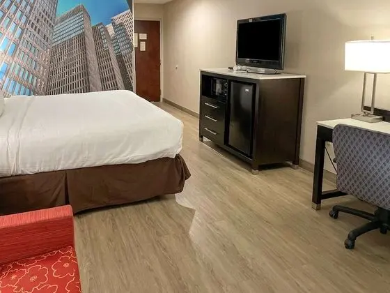 Standard Oda, 1 En Büyük (King) Boy Yatak, Sigara İçilmez
