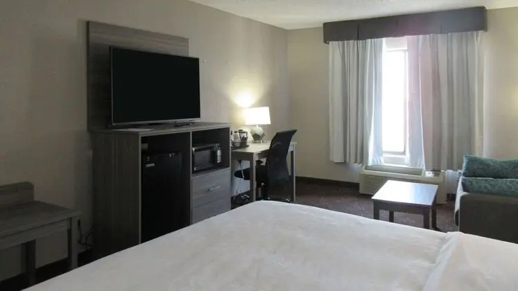 Oda, 1 En Büyük (King) Boy Yatak, Engellilere Uygun, Sigara İçilmez