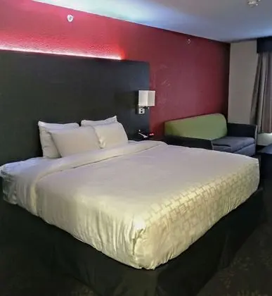 Oda, 1 En Büyük (King) Boy Yatak, Engellilere Uygun, Sigara İçilmez