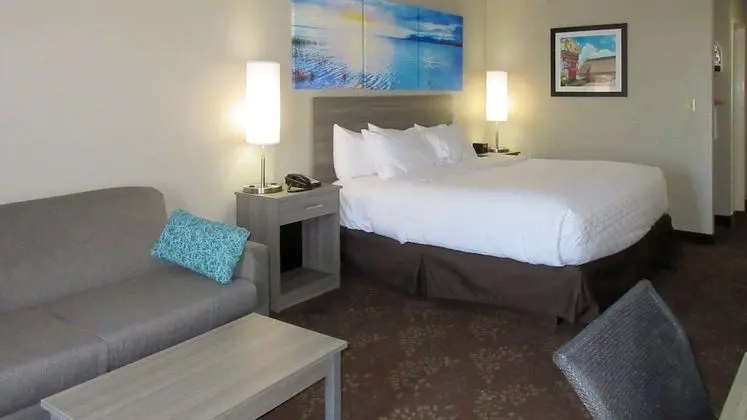 Oda, 1 En Büyük (King) Boy Yatak, Engellilere Uygun, Sigara İçilmez (Roll-In Shower)