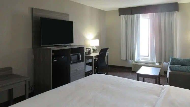 Oda, 1 En Büyük (King) Boy Yatak, Engellilere Uygun, Sigara İçilmez (Roll-In Shower)