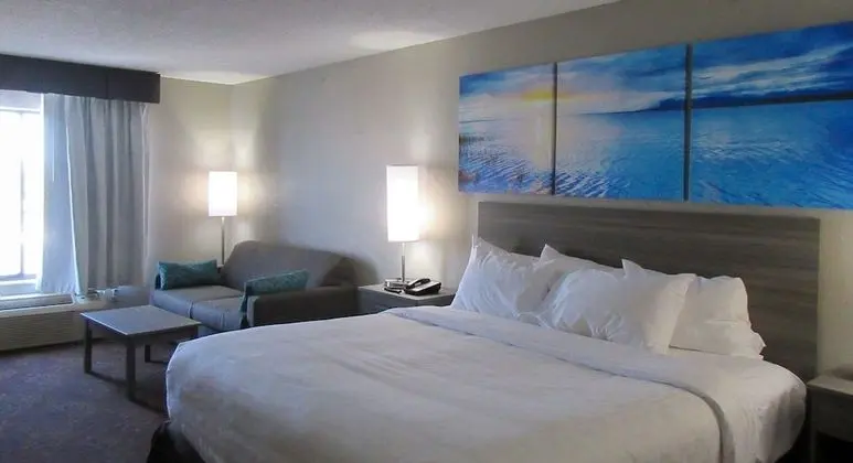 Oda, 1 En Büyük (King) Boy Yatak, Engellilere Uygun, Sigara İçilmez (Roll-In Shower)