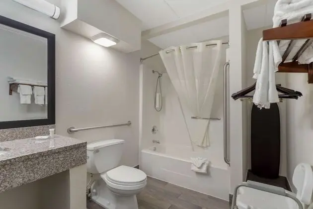 Oda, 1 En Büyük (King) Boy Yatak, Engellilere Uygun, Sigara İçilmez