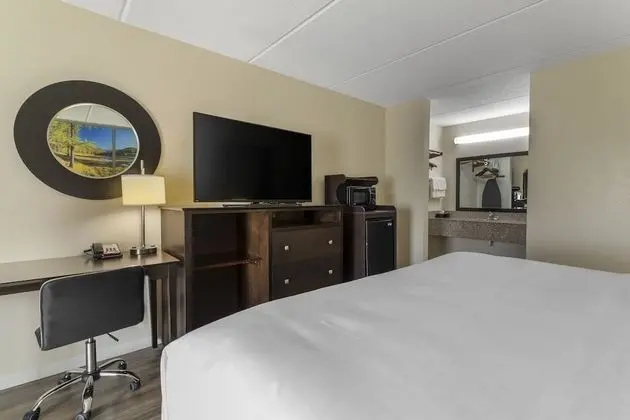 Oda, 1 En Büyük (King) Boy Yatak, Engellilere Uygun, Sigara İçilmez