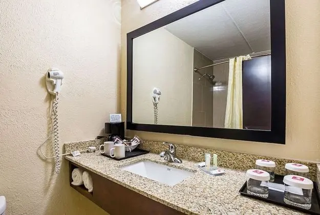 Standard Oda, 1 En Büyük (King) Boy Yatak, Sigara İçilmez (Wet Bar)
