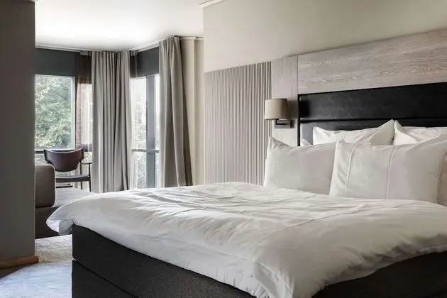 Deluxe Tek Büyük Yataklı Oda, 1 Çift Kişilik Yatak, Sigara İçilmez