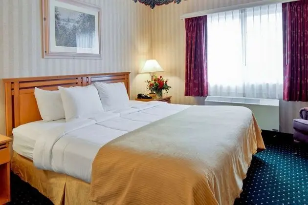 Suite, 1 King bed with Sofa Bed, Refrigerator & Microwave