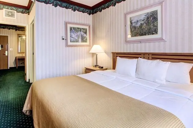 Suite, 1 King bed with Sofa Bed, Refrigerator & Microwave