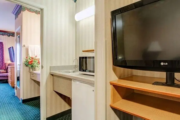 Suite, 1 King bed with Sofa Bed, Refrigerator & Microwave