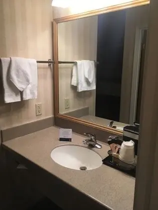 Suite, 1 King bed with Sofa Bed, Refrigerator & Microwave