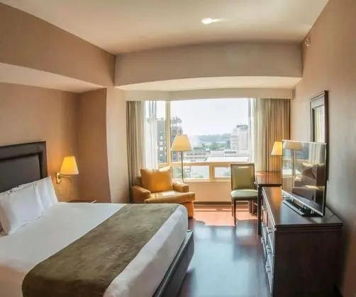 Süit, 1 En Büyük (King) Boy Yatak, Sigara İçilmez (VIP Floor)